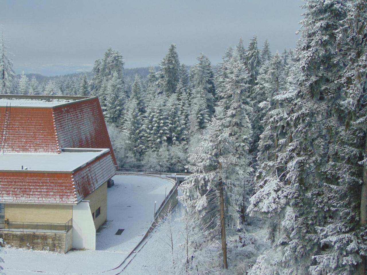 Ski Apartment Boyika Iglika 2 Borowez Exterior foto