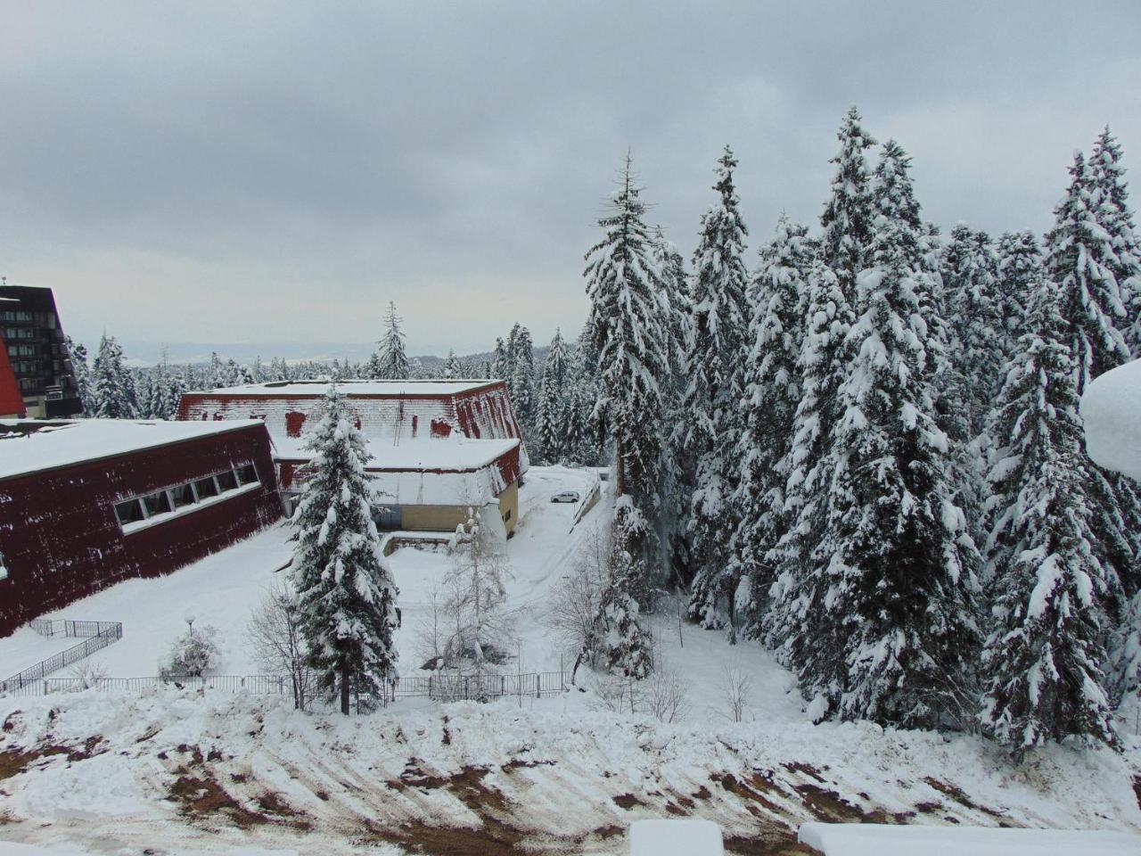 Ski Apartment Boyika Iglika 2 Borowez Exterior foto